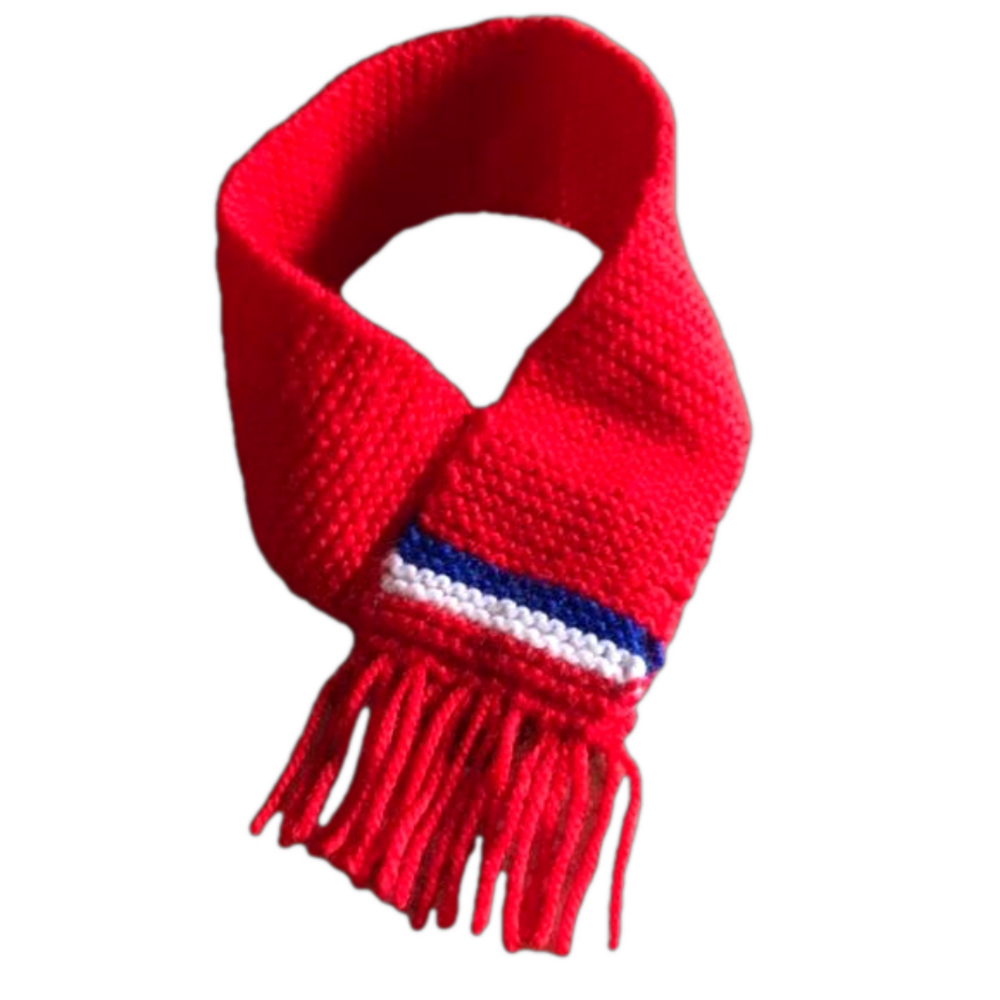 Small Hand Knitted Dog Scarf